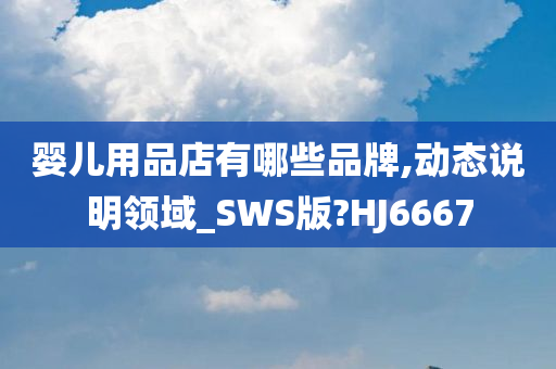 婴儿用品店有哪些品牌,动态说明领域_SWS版?HJ6667