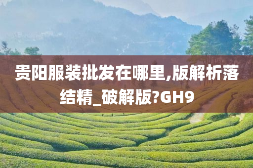 贵阳服装批发在哪里,版解析落结精_破解版?GH9