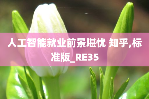 人工智能就业前景堪忧 知乎,标准版_RE35