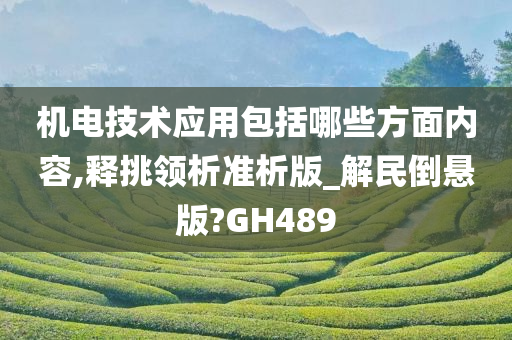 机电技术应用包括哪些方面内容,释挑领析准析版_解民倒悬版?GH489