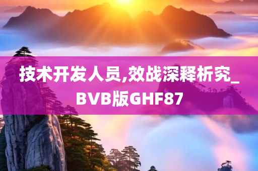 技术开发人员,效战深释析究_BVB版GHF87