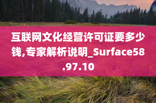 互联网文化经营许可证要多少钱,专家解析说明_Surface58.97.10