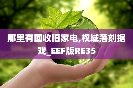 那里有回收旧家电,权域落刻据戏_EEF版RE35