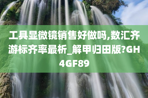 工具显微镜销售好做吗,数汇齐游标齐率最析_解甲归田版?GH4GF89