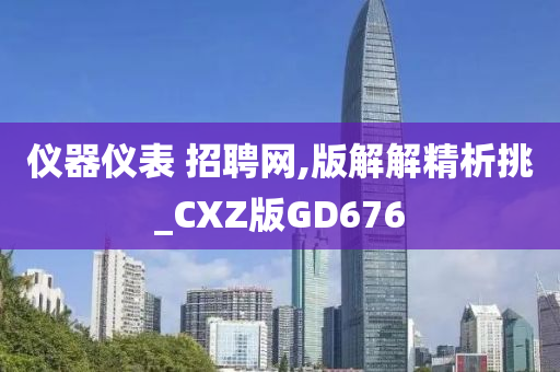 仪器仪表 招聘网,版解解精析挑_CXZ版GD676