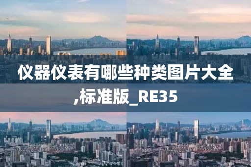 仪器仪表有哪些种类图片大全,标准版_RE35