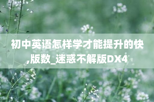 初中英语怎样学才能提升的快,版数_迷惑不解版DX4