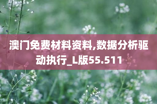 澳门免费材料资料,数据分析驱动执行_L版55.511