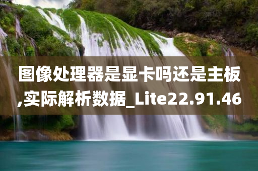 图像处理器是显卡吗还是主板,实际解析数据_Lite22.91.46