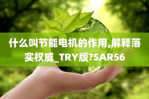 什么叫节能电机的作用,解释落实权威_TRY版?SAR56