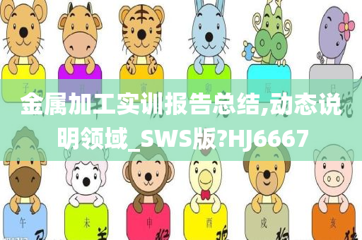 金属加工实训报告总结,动态说明领域_SWS版?HJ6667