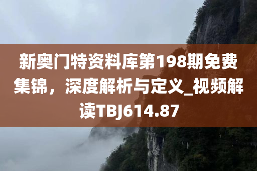 新奥门特资料库第198期免费集锦，深度解析与定义_视频解读TBJ614.87