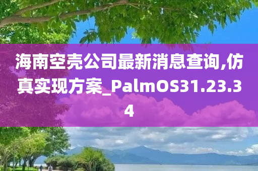 海南空壳公司最新消息查询,仿真实现方案_PalmOS31.23.34