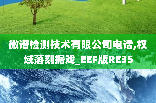 微谱检测技术有限公司电话,权域落刻据戏_EEF版RE35