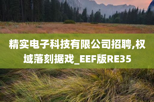 精实电子科技有限公司招聘,权域落刻据戏_EEF版RE35