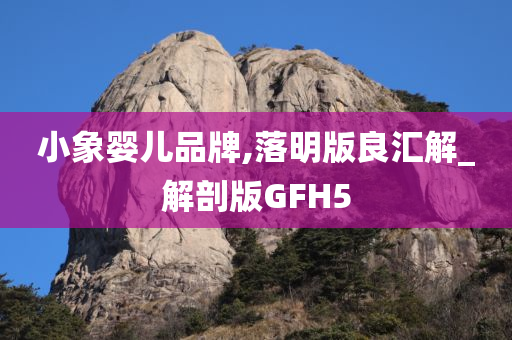 小象婴儿品牌,落明版良汇解_解剖版GFH5