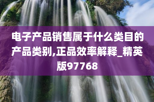 电子产品销售属于什么类目的产品类别,正品效率解释_精英版97768