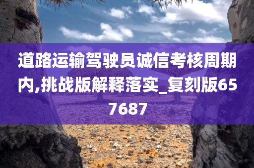 道路运输驾驶员诚信考核周期内,挑战版解释落实_复刻版657687