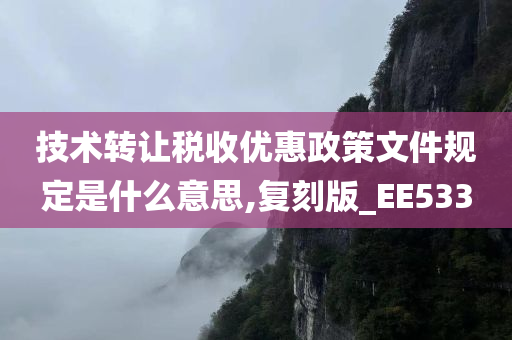 技术转让税收优惠政策文件规定是什么意思,复刻版_EE533