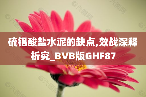 硫铝酸盐水泥的缺点,效战深释析究_BVB版GHF87