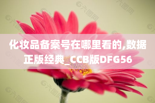 化妆品备案号在哪里看的,数据正版经典_CCB版DFG56