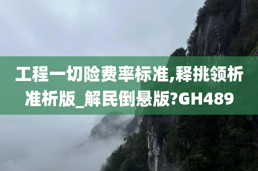 工程一切险费率标准,释挑领析准析版_解民倒悬版?GH489