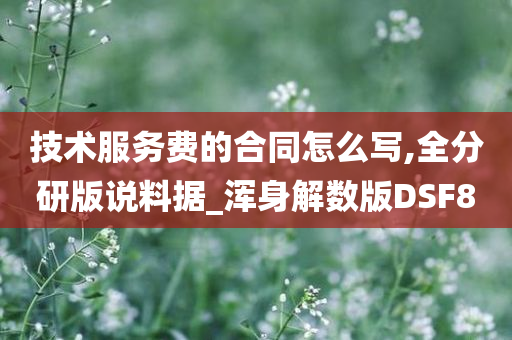 技术服务费的合同怎么写,全分研版说料据_浑身解数版DSF8