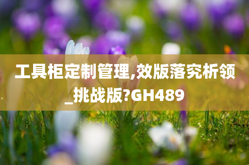 工具柜定制管理,效版落究析领_挑战版?GH489