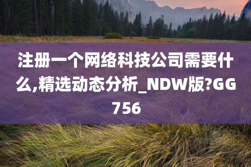 注册一个网络科技公司需要什么,精选动态分析_NDW版?GG756