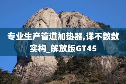 专业生产管道加热器,详不数数实构_解放版GT45