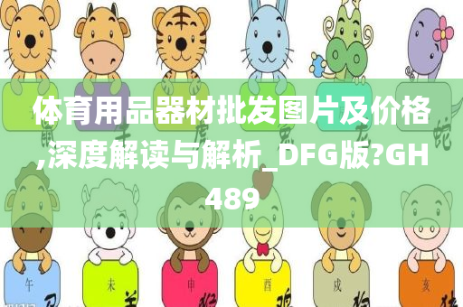 体育用品器材批发图片及价格,深度解读与解析_DFG版?GH489