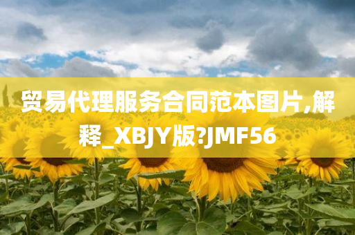 贸易代理服务合同范本图片,解释_XBJY版?JMF56