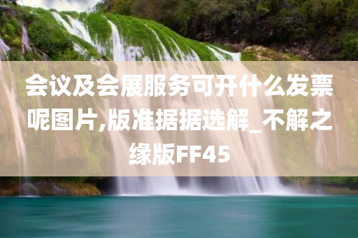 会议及会展服务可开什么发票呢图片,版准据据选解_不解之缘版FF45