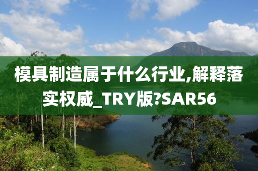 模具制造属于什么行业,解释落实权威_TRY版?SAR56