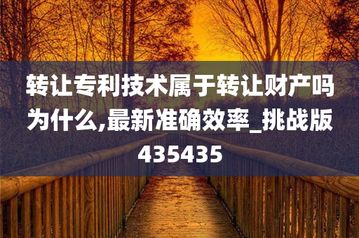 转让专利技术属于转让财产吗为什么,最新准确效率_挑战版435435