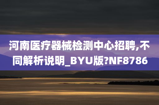 河南医疗器械检测中心招聘,不同解析说明_BYU版?NF8786