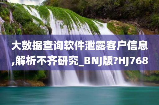 大数据查询软件泄露客户信息,解析不齐研究_BNJ版?HJ768