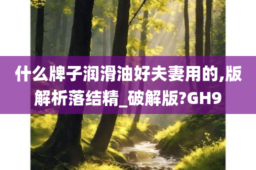 什么牌子润滑油好夫妻用的,版解析落结精_破解版?GH9