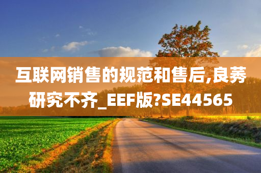 互联网销售的规范和售后,良莠研究不齐_EEF版?SE44565