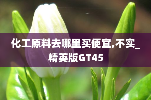 化工原料去哪里买便宜,不实_精英版GT45