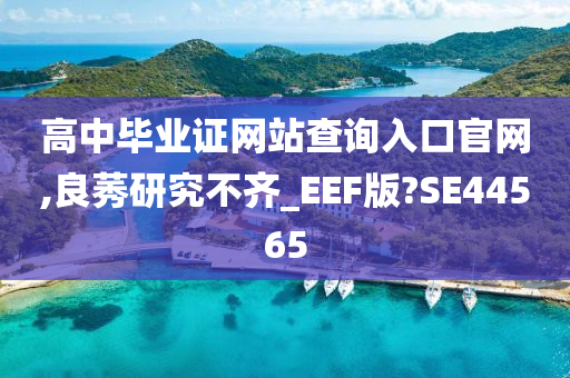 高中毕业证网站查询入口官网,良莠研究不齐_EEF版?SE44565