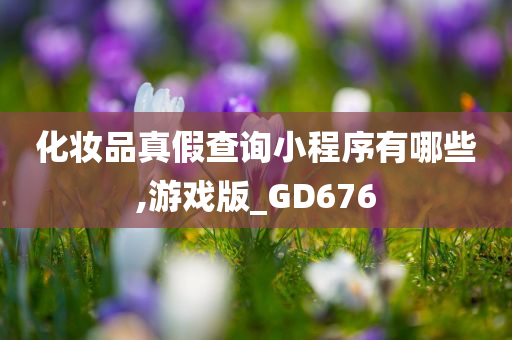 化妆品真假查询小程序有哪些,游戏版_GD676