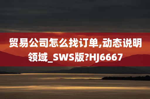 贸易公司怎么找订单,动态说明领域_SWS版?HJ6667