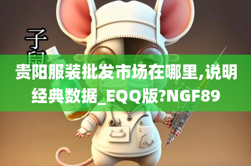 贵阳服装批发市场在哪里,说明经典数据_EQQ版?NGF89