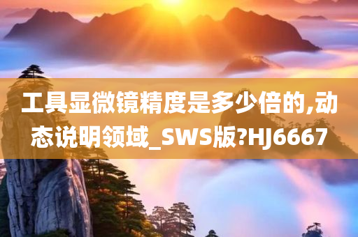 工具显微镜精度是多少倍的,动态说明领域_SWS版?HJ6667