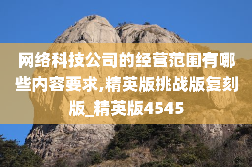 网络科技公司的经营范围有哪些内容要求,精英版挑战版复刻版_精英版4545