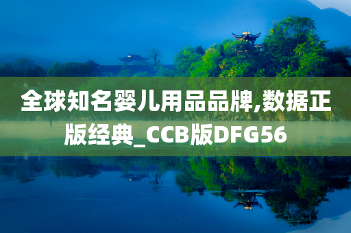 全球知名婴儿用品品牌,数据正版经典_CCB版DFG56