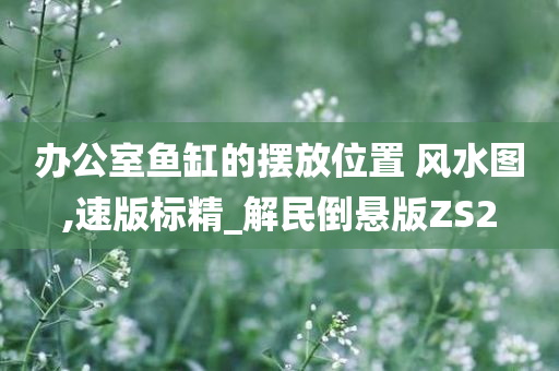 办公室鱼缸的摆放位置 风水图,速版标精_解民倒悬版ZS2