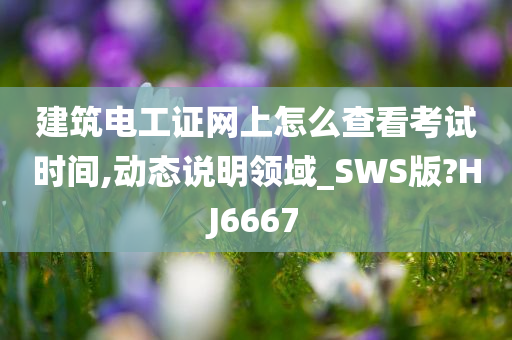 建筑电工证网上怎么查看考试时间,动态说明领域_SWS版?HJ6667