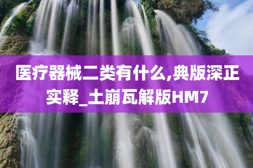 医疗器械二类有什么,典版深正实释_土崩瓦解版HM7